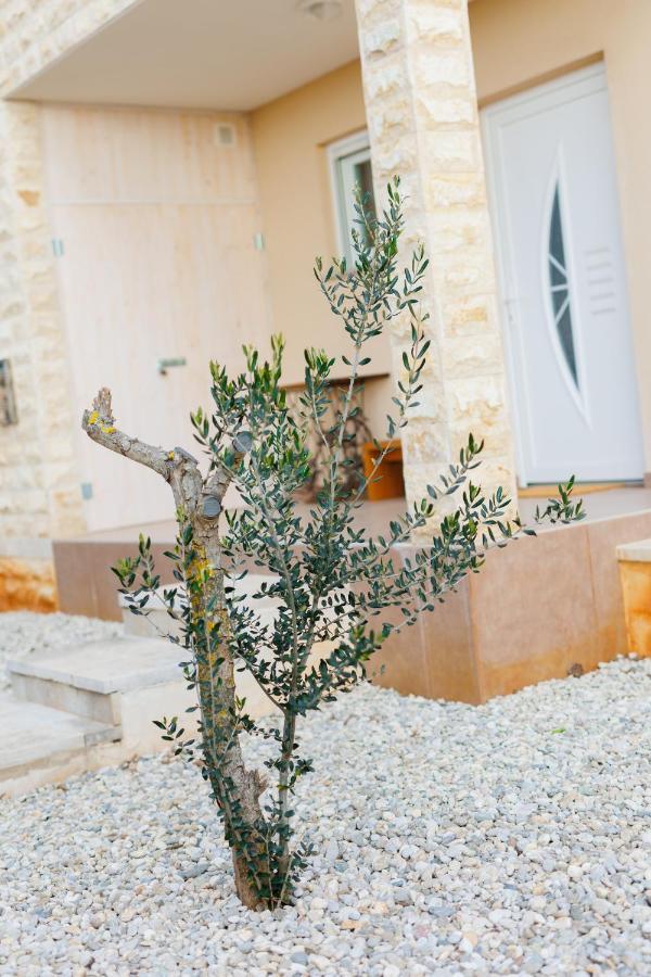 Villa Queen Jelena Galižana Extérieur photo
